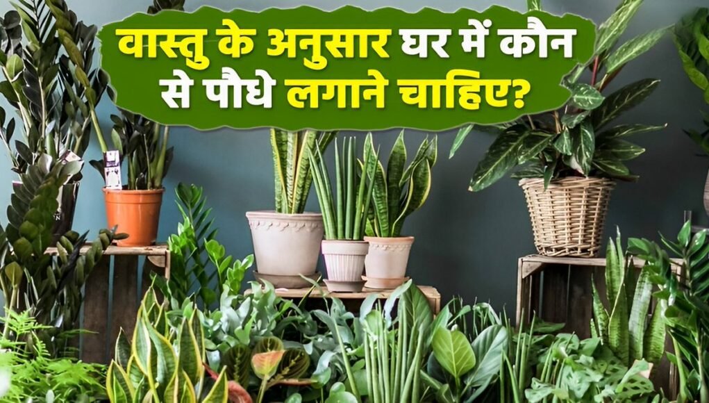 वास्तु उपाय घर में कौन से पौधे लगाएं और कौन से नहीं….जानिए पूरी डिटेल
