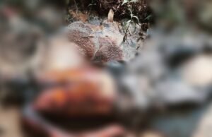 तुरतुरिया के जंगल में मिली युवक की लाश,लाश को भेजा जा रहा फोरेंसिक जांच के लिए रायपुर
