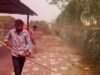 ग्रीन आर्मी रायपुरा जोन का ‘गदही तालाब’ बना स्वच्छता का केंद्र — लगातार 4 हफ्तों से चल रहा विशेष अभियान