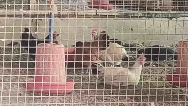 image-2026-03-24T202941.037