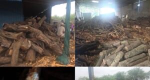 छत्तीसगढ़ वन विभाग की बड़ी कार्रवाई, अवैध खैर लकड़ी से भरा गोदाम सील, तस्कर मनीष अग्रवाल के ठिकाने पर छापा